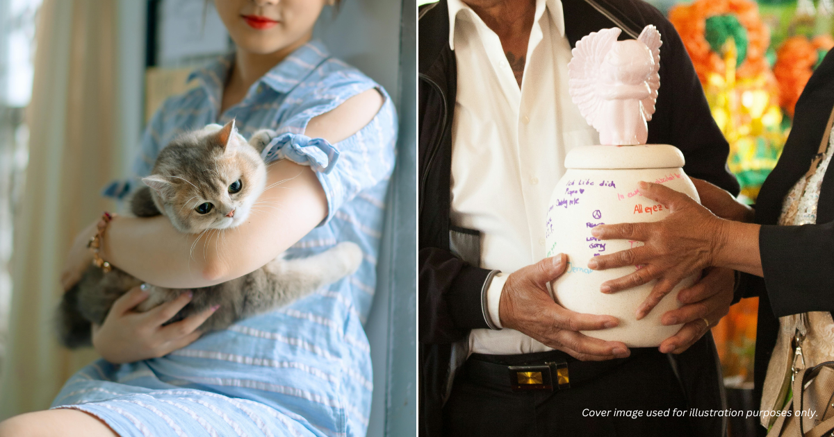 Fake Psychics Sell ‘Reincarnation’ Packages To Grieving Pet Owners For Up To RM1.8K