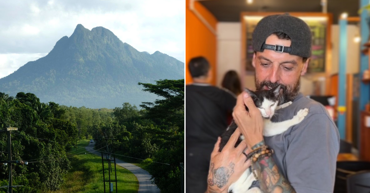 British Man To Climb Mount Santubong In Kuching Every Day Next Month To Save Stray Cats