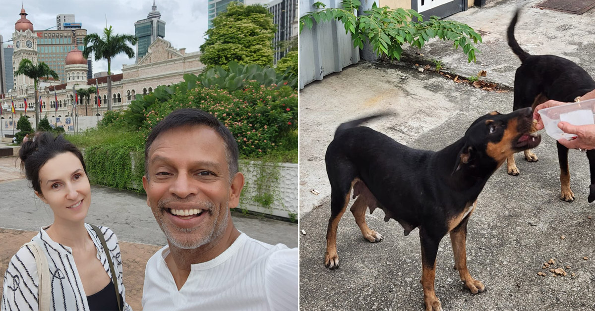 Meet The Malaysian Who Starts Every Morning Feeding Stray Dogs Before Work