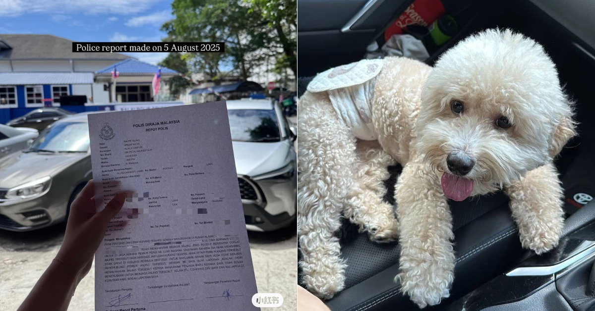 Couple Calls Out Dog Owner For Abandoning Pet Poodle At Their Boarding Centre
