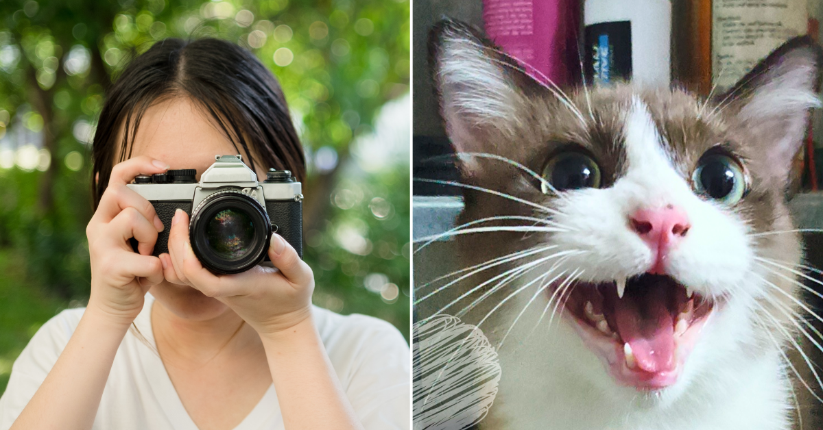 You Could Make Your Beloved Pet Famous By Joining This Photo Contest
