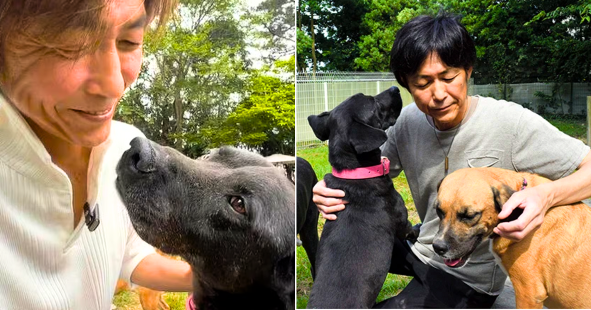 Man Sells Ferrari To Fund Shelter For ‘Problematic’ Dogs After Pet Saves His Life