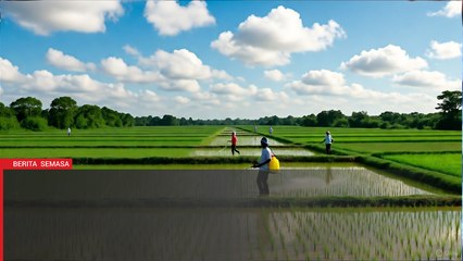 Belanjawan 2026: Kerajaan bantu ringan beban pesawah