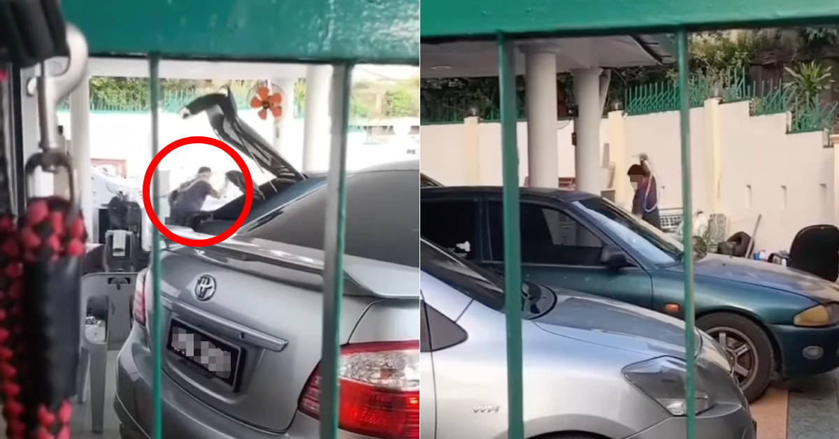 Ampang Court Fines Man RM30,000 For Whipping Pet Dog With Rubber Hose