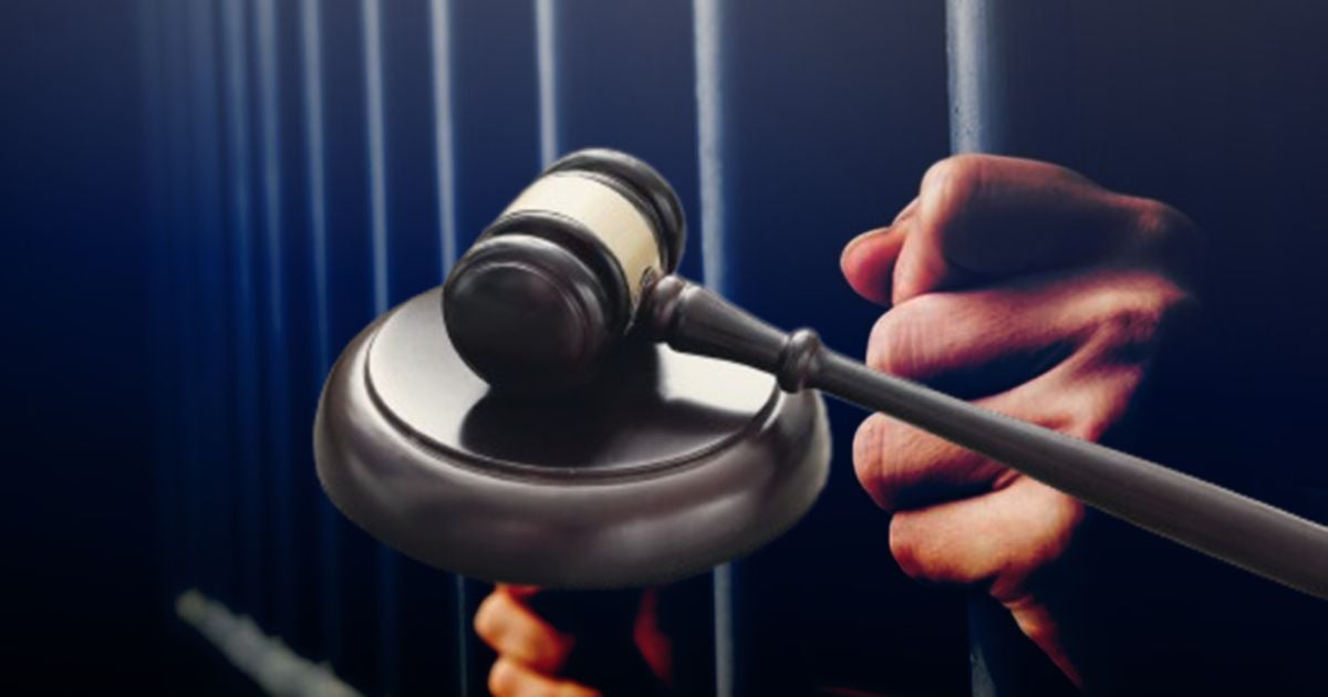 Man Jailed After Pet Dog Seriously Injured Woman